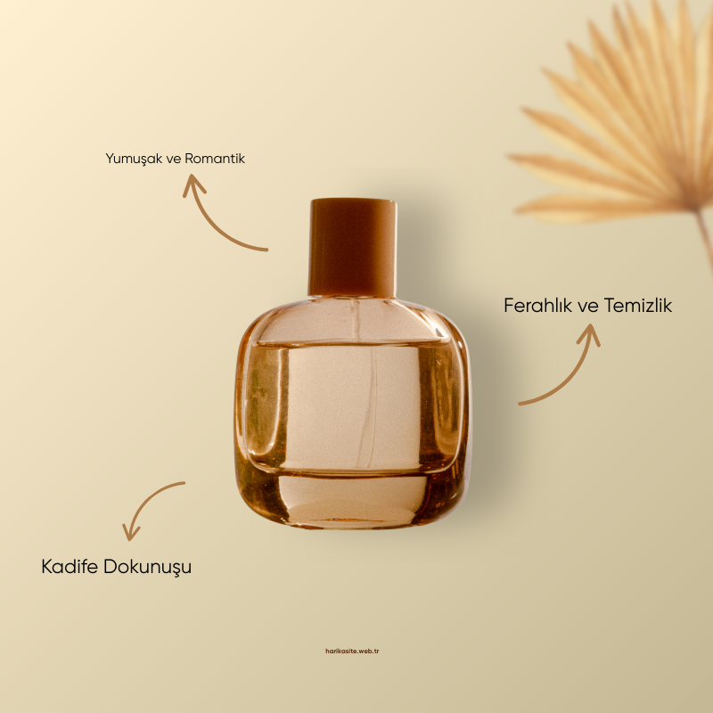 Michael Kors Pour Femme